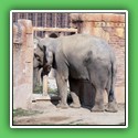 014_Verinsfahrt Leipzig Zoo