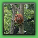 020_Verinsfahrt Leipzig Zoo