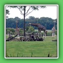 022_Verinsfahrt Leipzig Zoo