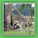 024_Verinsfahrt Leipzig Zoo