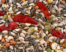 Mega Papageienmischung